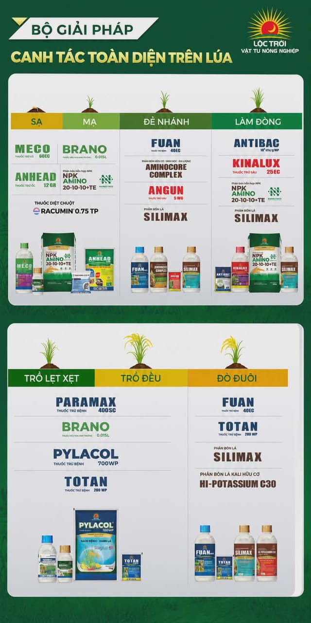 Săm Soi Bộ giải pháp canh tác toàn diện trên lúa của Lộc Trời
