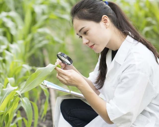 [BÀN TRÒN NHÀ NÔNG] Vì sao kỹ sư nông nghiệp muốn làm đại lý chứ không làm nông dân: Phân tích gốc rễ một nghịch lý