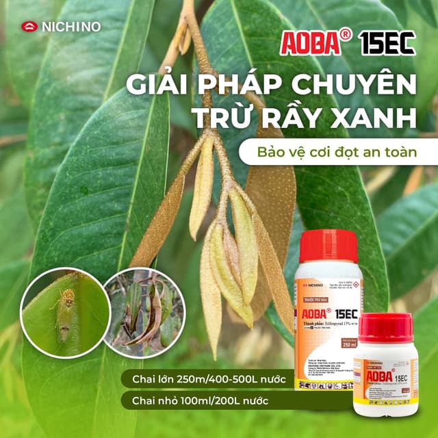 Nông Dân Tỷ Phú Sợ Nhất Là Rầy Xanh, Mà Thuốc Nào Cũng Quảng Cáo Xịn, Hiệu Quả, Chẳng Lẽ Loại Nào Cũng Phải Phun Thử Mới Biết Hay Sao? Đọc Bài Này