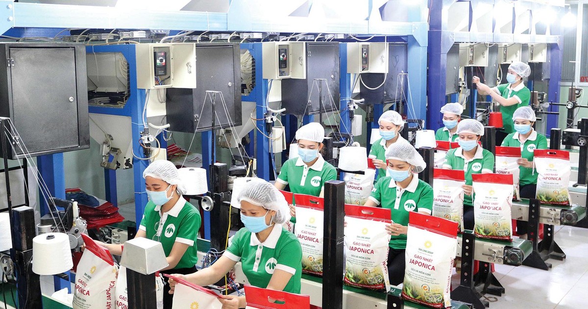 Biên lợi nhuận thuốc bảo vệ thực vật 2025: Toàn cảnh quốc tế và Việt Nam