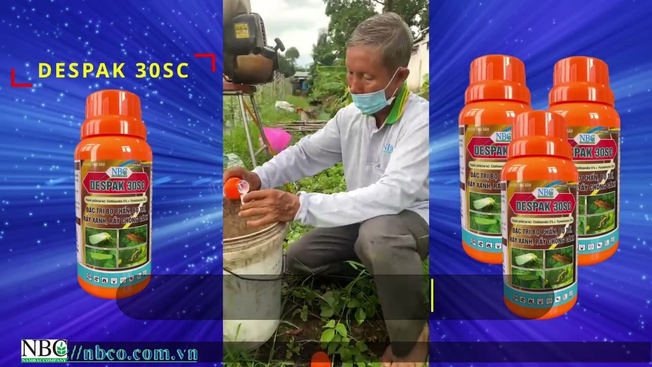 So Sánh Về Công Thức Phối Với 2 Tỷ Lệ Clothianidin 15% + Pymetrozine 15% (AA-Faros 30SC) và Clothianidin 5% + Pymetrozine 25% (T-Clodin 30WG, Despak 30SC)