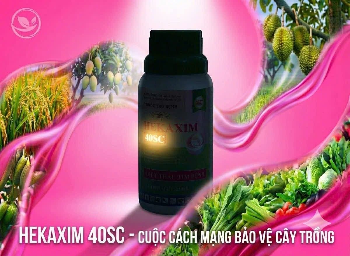 Hekaxim 40SC  Với Hexaconazole 25% + Kresoxim-methyl 15% Tính Làm Cuộc Cách Mạng Gì Trong Nông Nghiệp?